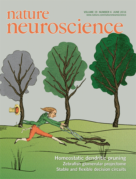 Publications – GONÇALVES LAB